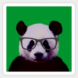 Geeky Nerd Panda in Green Background - Print / Home Decor / Wall Art / Poster / Gift / Birthday / Panda Lover Gift / Animal print Sticker